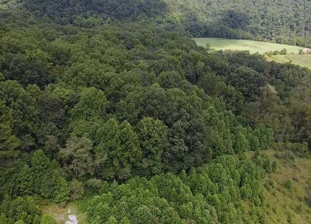 Property at 0 Scenic Dr, Rich Creek, VA 24147