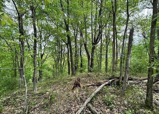Property at TBD Wisteria Dr, Radford, VA 24141