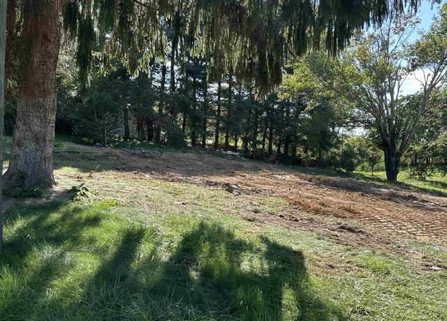 Property at 5281 Riner Rd, Riner, VA 24149