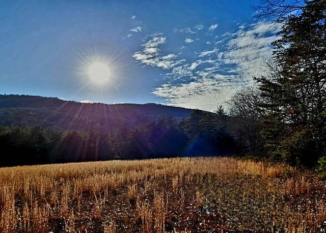 Property at tbd Reesedale Rd, Elliston, VA 24087