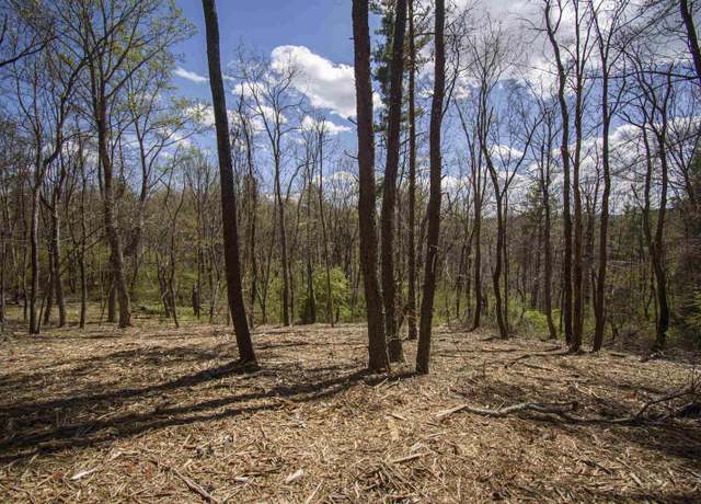 Property at TBD Tract B Penn Rd NW, Floyd, VA 24091