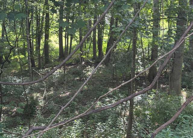Property at TBD Lot 9 Parkview Ct, Dublin, VA 24084