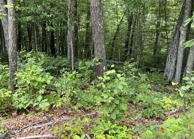 Property at Lot 48 River Oaks Dr, Austinville, VA 24312