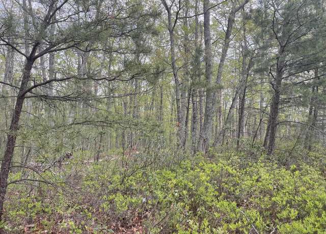 Property at 3990 Buck Mtn Rdg, Blacksburg, VA 24060