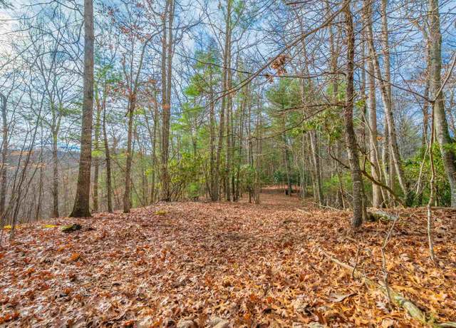 Property at TBD Lot A1 Spangler Mill Rd, Floyd, VA 24091