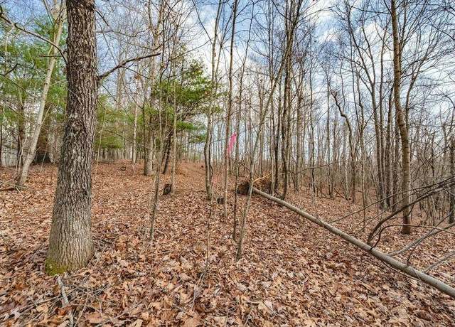 Property at TBD Lot D4 Spangler Mill Rd, Floyd, VA 24091