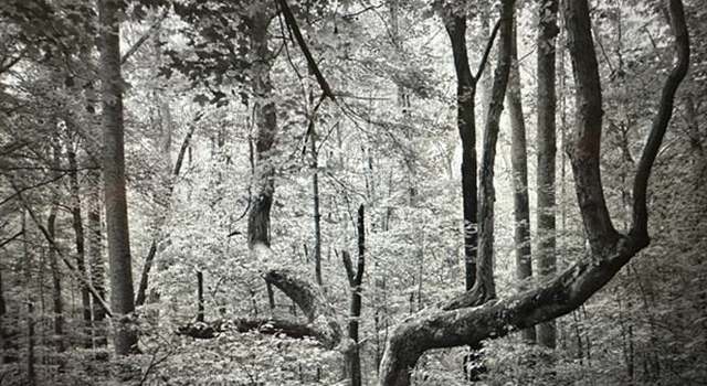 Photo of TBD Undisclosed Rd, Pembroke, VA 24136