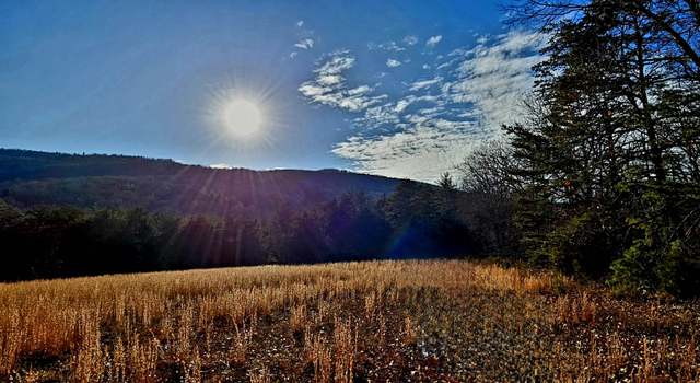 Photo of tbd Reesedale Rd, Elliston, VA 24087