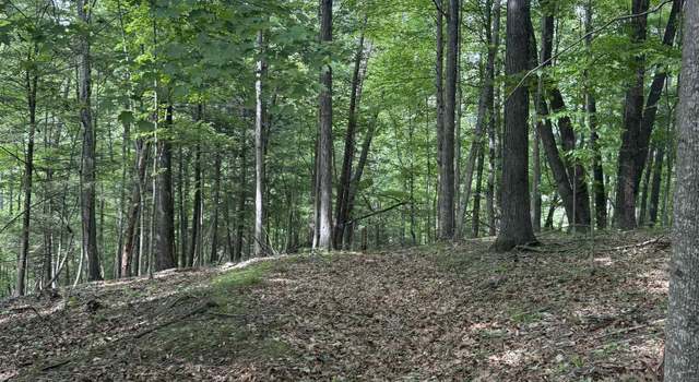 Photo of 0 Blue Grass Trl, Newport, VA 24128