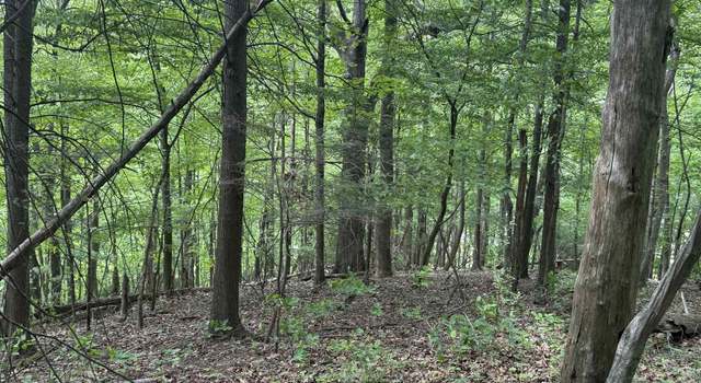 Photo of 0 Blue Grass Trl, Newport, VA 24128