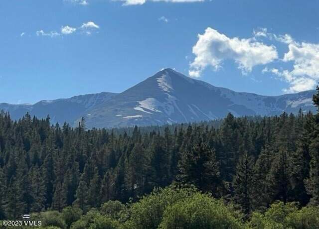 Property at 40 County Road 19, Leadville, CO 80461