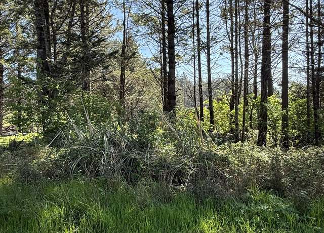 Property at 112 Seafoam Rd, Whitethorn, CA 95589