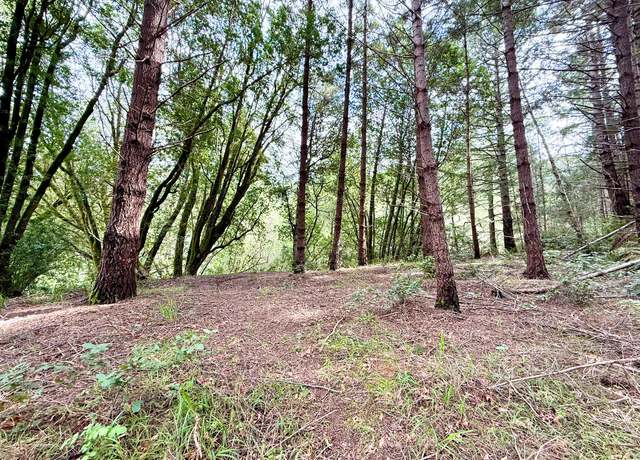 Property at 211 Beach Rd, Shelter Cove, CA 95589