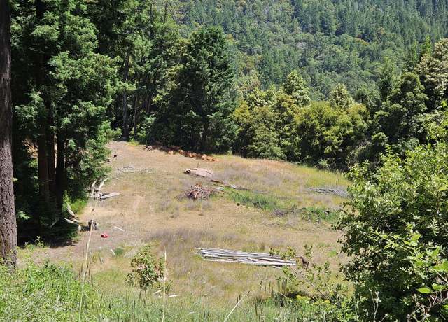 Property at 245 Twin Trees Ln, Benbow, CA 95542