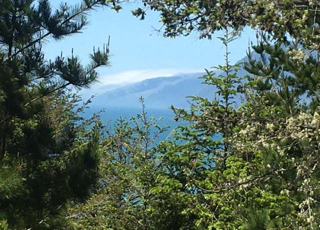 Property at 161 Dolphin Dr, Shelter Cove, CA 95589