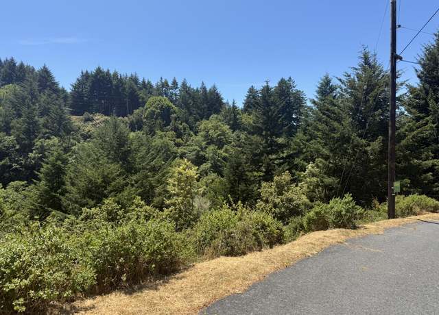 Property at 60 Spring Rd, Shelter Cove, CA 95589