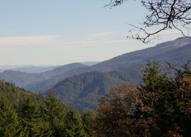 Property at 600 Lucy Gulch Rd, Hyampom, CA 96046