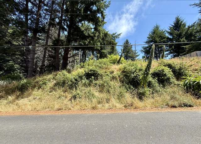 Property at 117 Ridge Rd, Shelter Cove, CA 95589