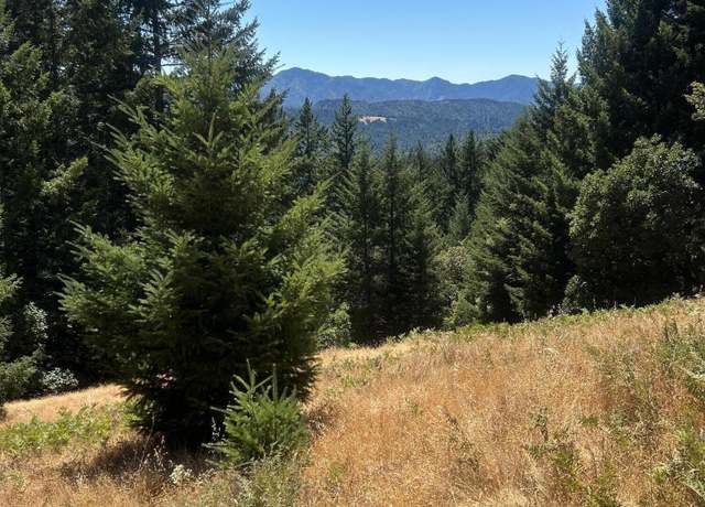 Property at 5927 Panther Gap Rd, Honeydew, CA 95545, 1 bed, 1 bath