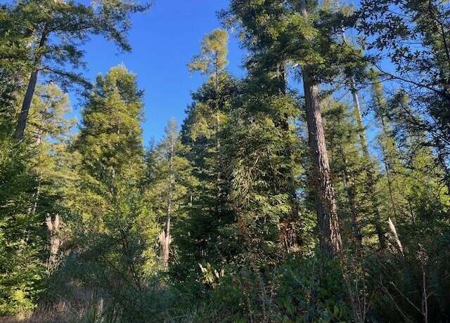 Property at 5091 Greenwood Heights Dr, Kneeland, CA 95549