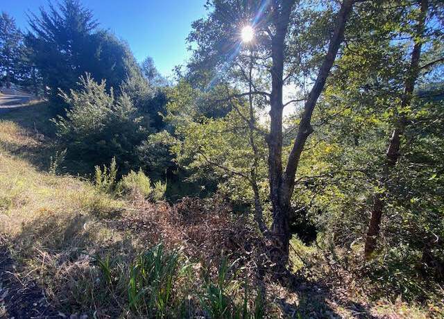 Property at 615 Muskrat Cir, Whitethorn, CA 95589