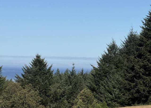 Property at 5 Spring Rd, Shelter Cove, CA 95589