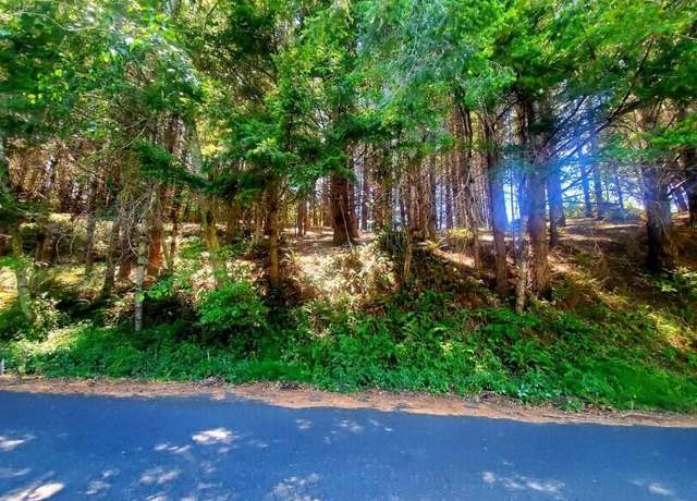 Property at 416 Beach Rd, Shelter Cove, CA 95589