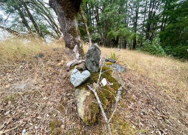 Property at 33375 State Hwy 36, Bridgeville, CA 95526