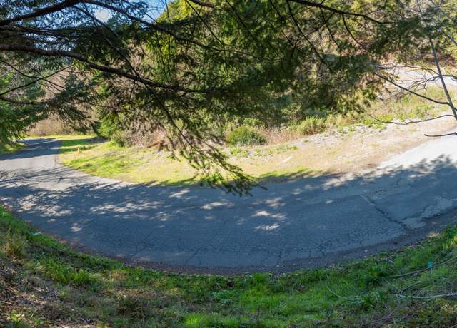 Property at 105 Wolverine Way, Whitethorn, CA 95589