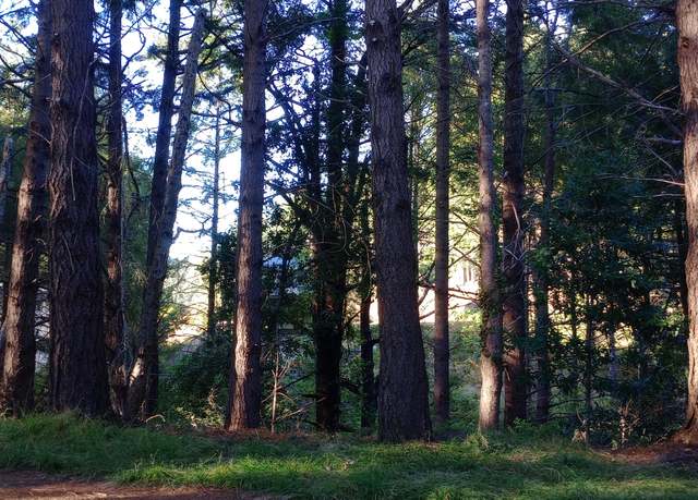 Property at 640 Spring Rd, Shelter Cove, CA 95589