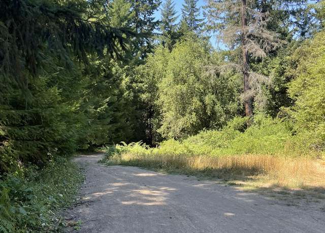 Property at 30578 Highway 36, Bridgeville, CA 95526