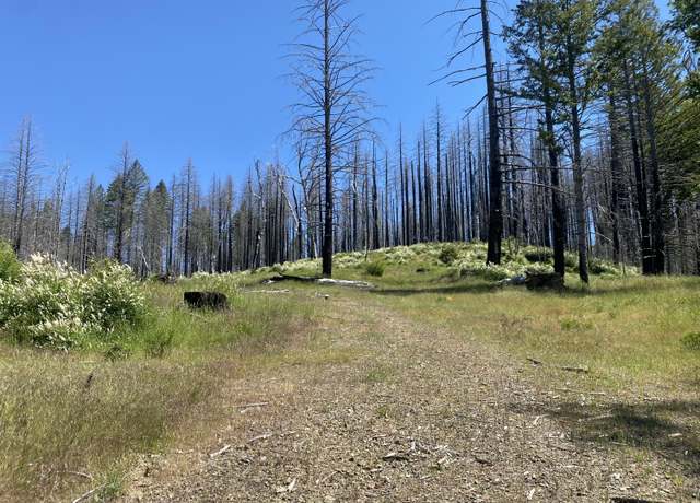 Property at 6919 Zenia Lake Mountain Rd, Kettenpom, CA 95595