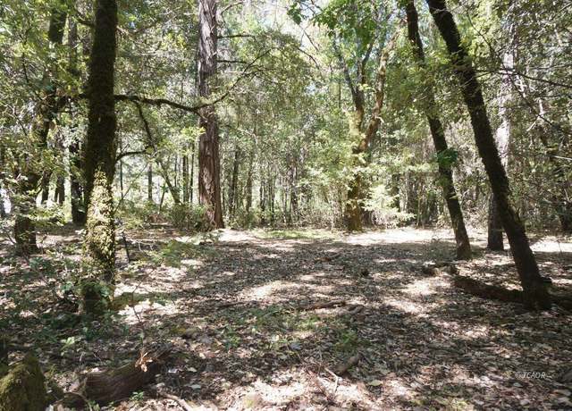 Property at 4271 Ca-299 Rd, Hawkins Bar, CA 95527