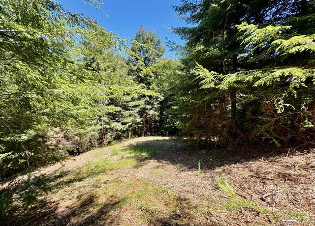 Property at 150 Tanglewood Dr, Elk River, CA 95503