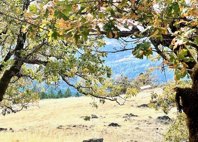 Property at 40 +/- Acres Burr Valley Rd, Dinsmore, CA 95526