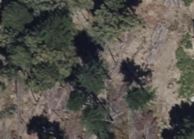 Property at 244 Butterfly Creek Rd, Willow Creek, CA 95573