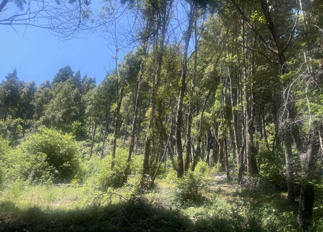 Property at 244 Butterfly Creek Rd, Willow Creek, CA 95573