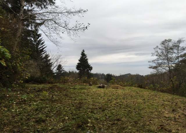 Property at 3327 Old State Highway 101, Orick, CA 95555