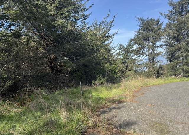 Property at 66 Redcrest Ct, Shelter Cove, CA 95589