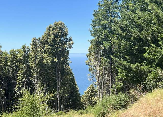Property at 110 Murphy Rd, Whitethorn, CA 95589