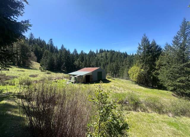Property at 19624 Dyerville Loop Rd, Dyerville, CA 95569