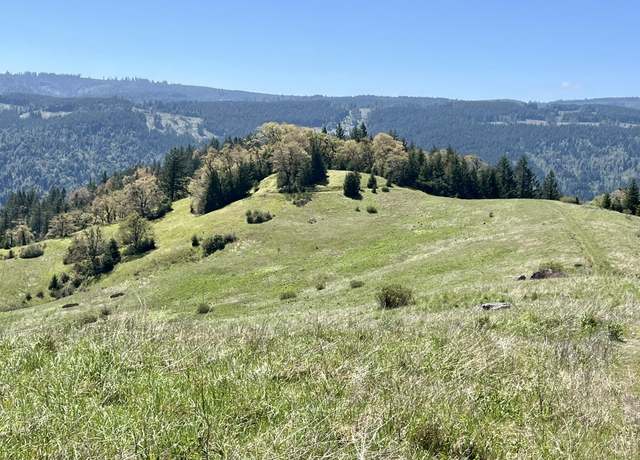Property at ±164 Acres Sabertooth Rd, Berry Summit, CA 95525