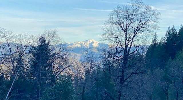 Photo of 960 Upper Democrat Gulch Rd, Weaverville, CA 96093