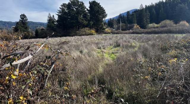 Photo of 000 Holmes Flat Rd, Redcrest, CA 95569