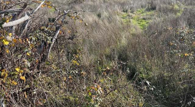 Photo of 000 Holmes Flat Rd, Redcrest, CA 95569