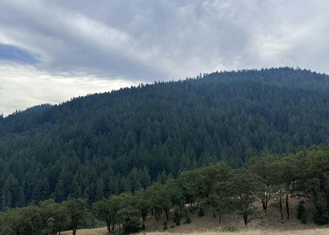 0000 River Rd, Mad River, CA 95526