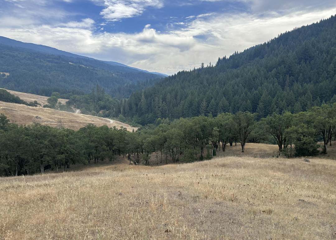0000 River Rd, Mad River, CA 95526