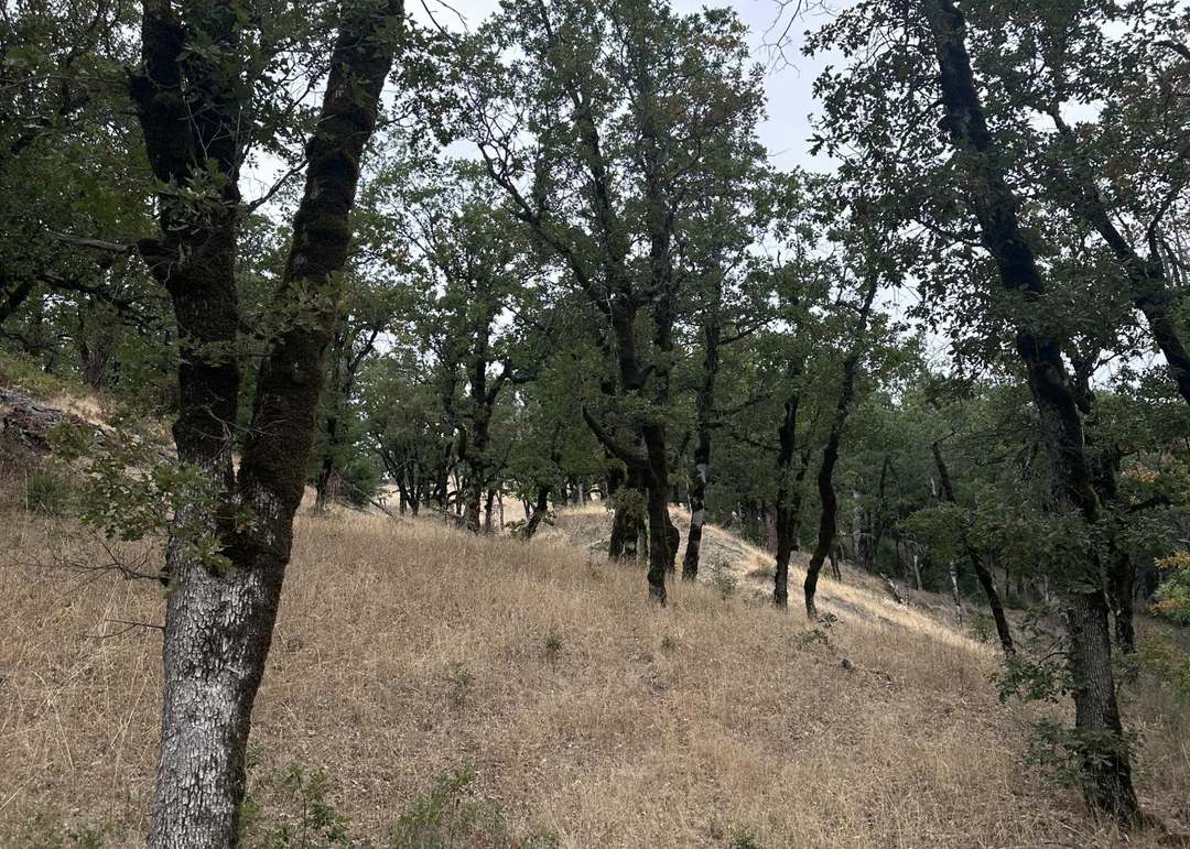 0000 River Rd, Mad River, CA 95526