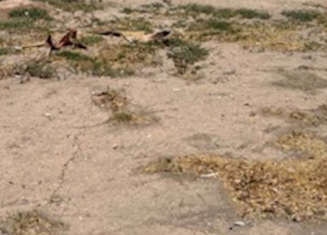 Property at 734 Broadway Ave, El Centro, CA 92243