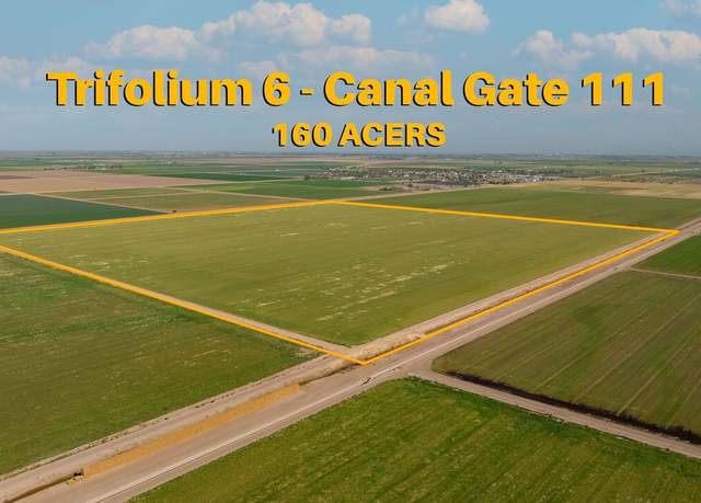Property at 0 Trifolium 6 Canal Gate 111, Westmorland, CA 92281